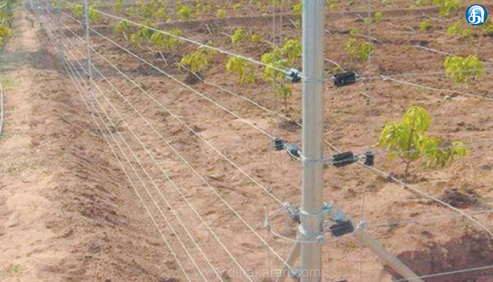 பழநி,-ஒட்டன்சத்திரம்-வனப்பகுதி-எல்லை,-விவசாய-நிலங்களில்-மின்வேலி-அமைக்க-கூடாது:-மின்சார-வாரியம்-பிட்-நோட்டீஸ்-விநியோகம்