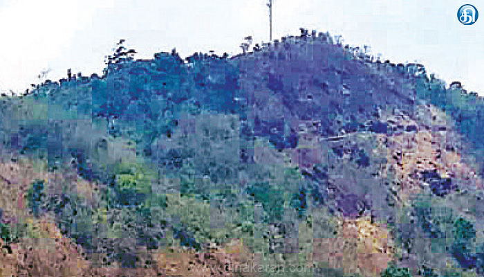 தமிழ்நாடு-வனப்பகுதிகளில்-கேரளாவின்-‘ஆக்கிரமிப்பு’-தேனி-இடுக்கி-மாவட்ட-எல்லையில்-‘அளவீடு’-அவசியம்