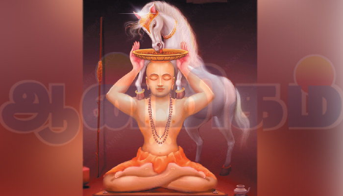 முன்னால்-சுமப்பது-யார்?