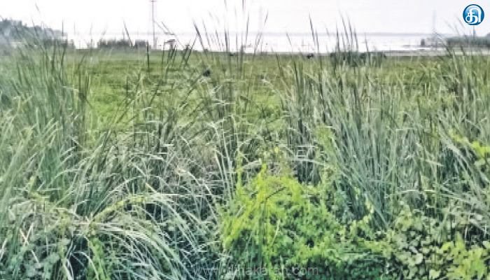 சென்னையின்-குடிநீர்-ஆதாரமாக-விளங்கும்-புழல்-ஏரிக்கரையை-பாதுகாக்க-வேண்டும்:-சமூக-ஆர்வலர்கள்-கோரிக்கை