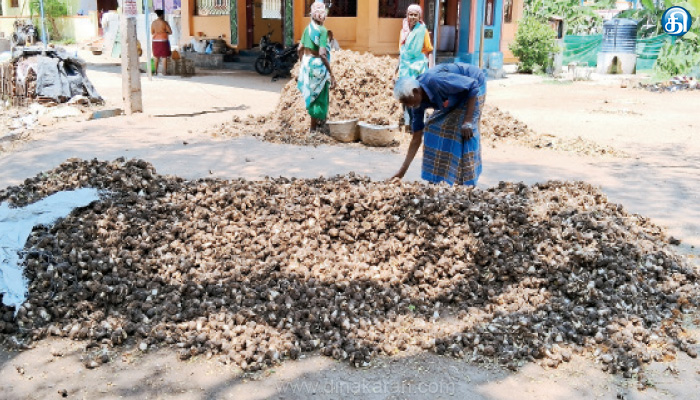 தர்மபுரி மாவட்டத்தில் தொடர் மழை…