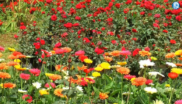 நேரு விளையாட்டு அரங்கில் கலைஞர் பிறந்தநாளையொட்டி ஜூன்3ல் மலர்க்கண்காட்சி..!!