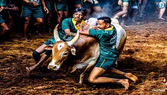 புதுக்கோட்டை அருகே கோயில் விழாவையொட்டி ஜல்லிக்கட்டு போட்டி தொடங்கியது..!!