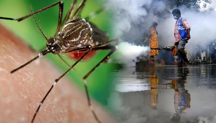 டெங்கு காய்ச்சல் பரவலை தடுக்க முன்னெச்சரிக்கை நடவடிக்கை: மாவட்ட சுகாதார அலுவலர்களுக்கு தமிழக பொது சுகாதாரத் துறை உத்தரவு!