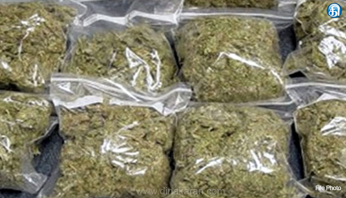 திருவாரூர் மாவட்டம் முத்துப்பேட்டையில் கடல் வழியாக கடத்தி வரப்பட்ட 300 கிலோ கஞ்சா பறிமுதல்