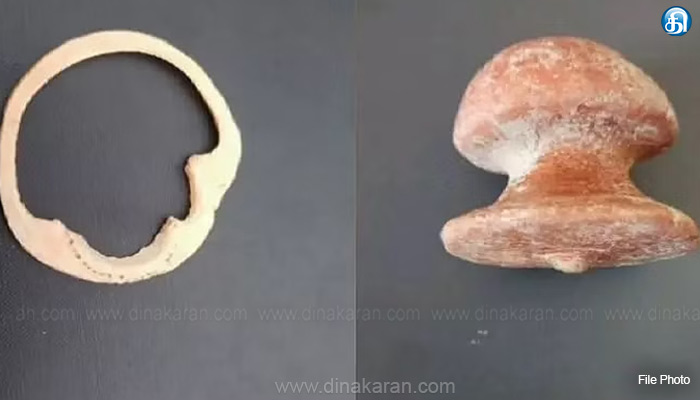 சாத்தூர் அருகே வெம்பக்கோட்டை அகழாய்வில் 2 தங்க பொருட்கள் கண்டெடுப்பு