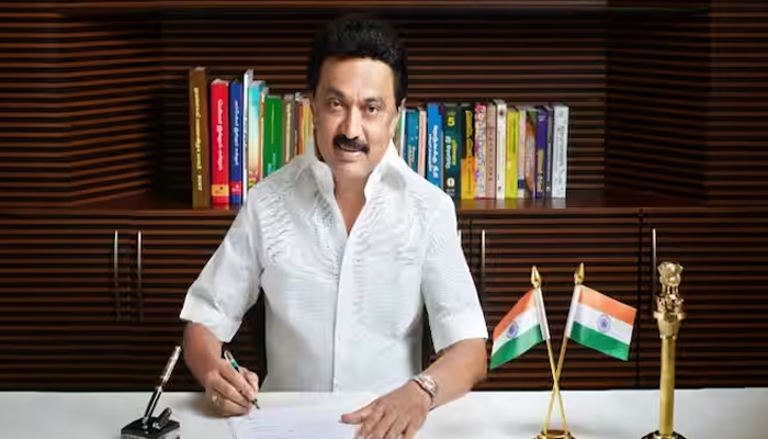 கலைஞர் நூற்றாண்டு விழாவை சிறப்பாக கொண்டாட 12 குழுக்களை அமைத்து முதலமைச்சர் ஸ்டாலின் உத்தரவு