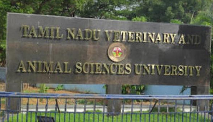 தமிழ்நாடு கால்நடை மருத்துவ அறிவியல் பல்கலைக்கழகத்தில் இளநிலை பட்டப் படிப்புகளுக்கு இன்று முதல் வரும் 30ம் தேதி வரை விண்ணப்பிக்கலாம்..!