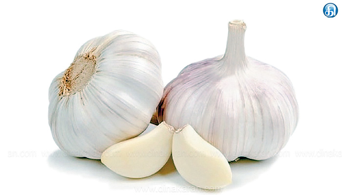 தக்காளி, வெங்காயம் வரிசையில் பூண்டு விலையும் எகிறியது ஒரு கிலோ ரூ..200க்கு விற்பனை: பருவநிலை மாற்றத்தால் உற்பத்தி குறைந்தது