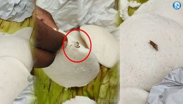 சென்னை மதுரவாயல் உணவகத்தில் பார்சலில் வழங்கப்பட்ட இட்லியில் கரப்பான் பூச்சி: வாடிக்கையாளர் அதிர்ச்சி