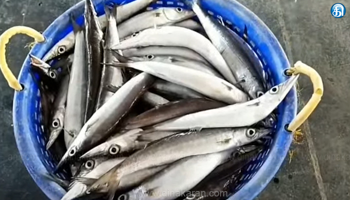 தூத்துக்குடியில் பலத்த காற்றால் மீன்களின் வரத்து குறைந்து விலை அதிகரிப்பு; வியாபாரிகள் மகிழ்ச்சி..மீன் பிரியர்கள் ஏமாற்றம்..!!