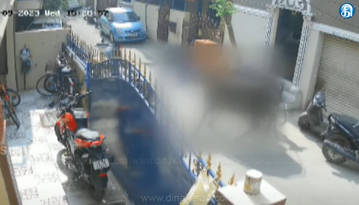 சென்னை அரும்பாக்கத்தில் சிறுமியை மாடு முட்டிய விவகாரம்: உரிமையாளர் மீது வழக்குப்பதிவு