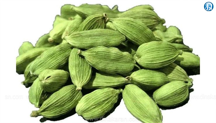 போடியில் ஏலக்காய் விலை கிடுகிடுவென உயர்ந்து ஒரு கிலோ ரூ.2,300-க்கு விற்பனை..!!