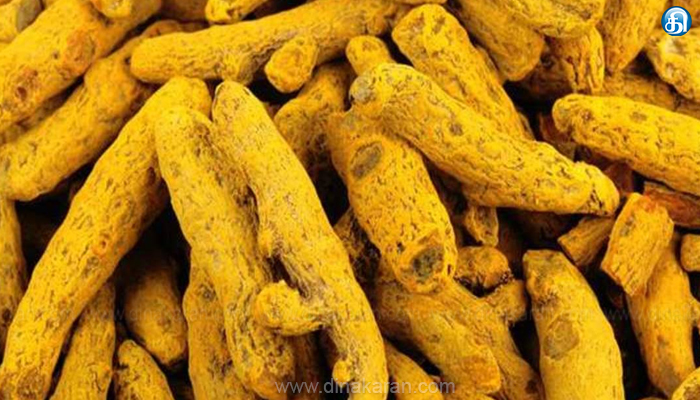 புதிய உச்சத்தை எட்டியது!: ஈரோடு மாவட்டத்தில் இருந்து கடந்த 6 மாதங்களில் 1.05 லட்சம் டன் மஞ்சள் ஏற்றுமதி..!!