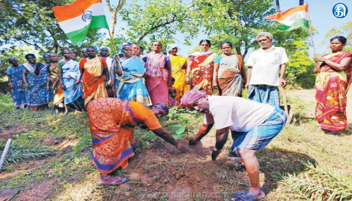 சுதந்திரதின விழாவை முன்னிட்டு பொன்னமராவதி ஒன்றியத்தில் மரக்கன்று நடப்பட்டன