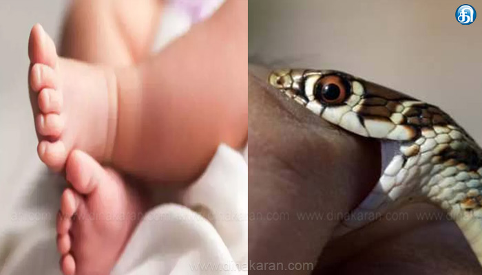 வேலூர் அருகே வீட்டில் தூங்கிக் கொண்டிருந்த 3மாத குழந்தை பாம்பு கடித்து உயிரிழப்பு..!!