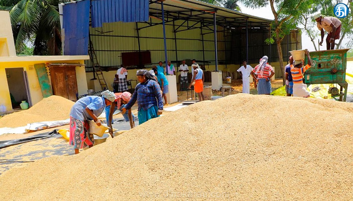 திருவாரூரில் புதிய விலையில் நேரடி நெல் கொள்முதல் நிலையங்கள் திறப்பு