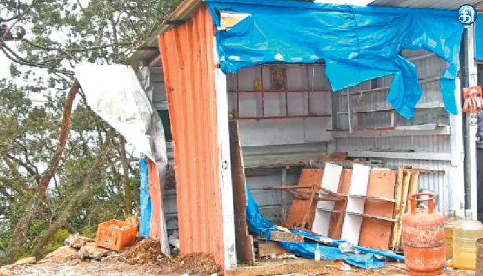 கொடைக்கானலில் யானைகள் அட்டகாசம்-சுற்றுலா பயணிகள்அச்சம்.