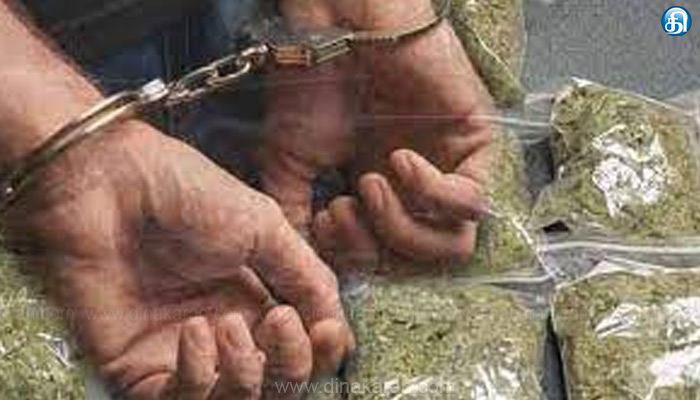 பெண் மென்பொறியாளர் அறையில் கஞ்சா– இளைஞர் கைது.